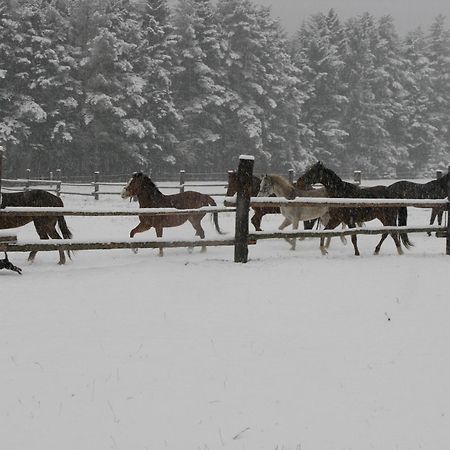 Penzion-Ranc U Trapera Hrabusice Luaran gambar